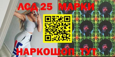 гидропоника Дубна