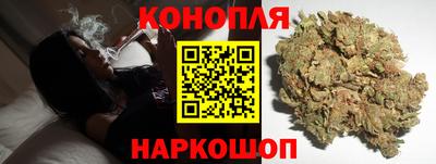 гидропоника Дубна