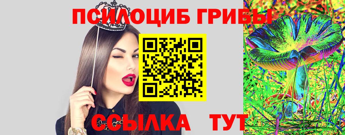 Псилоцибиновые грибы мицелий  Вход с VPN  Керчь 